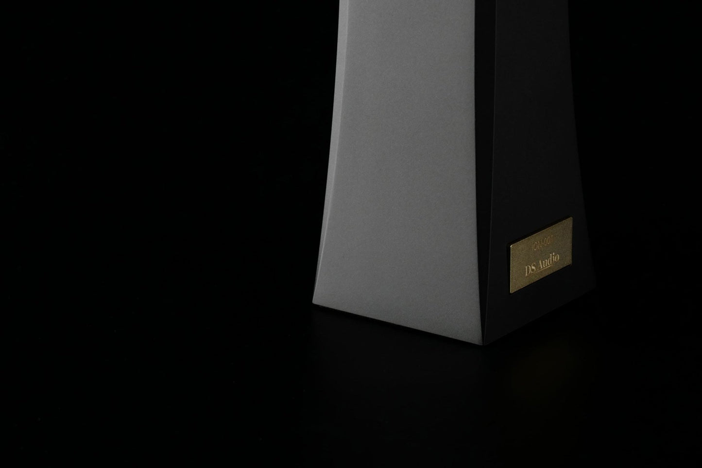 DS Audio ION - 001 Ionizer - Aktivstudio - High End Audio