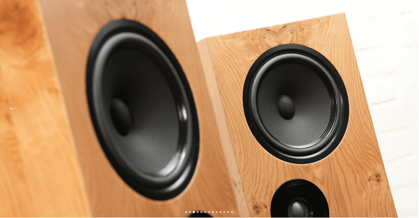 Living Voice OBX - R80 - Aktivstudio - High End Audio