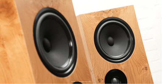 Living Voice OBX - R80 - Aktivstudio - High End Audio