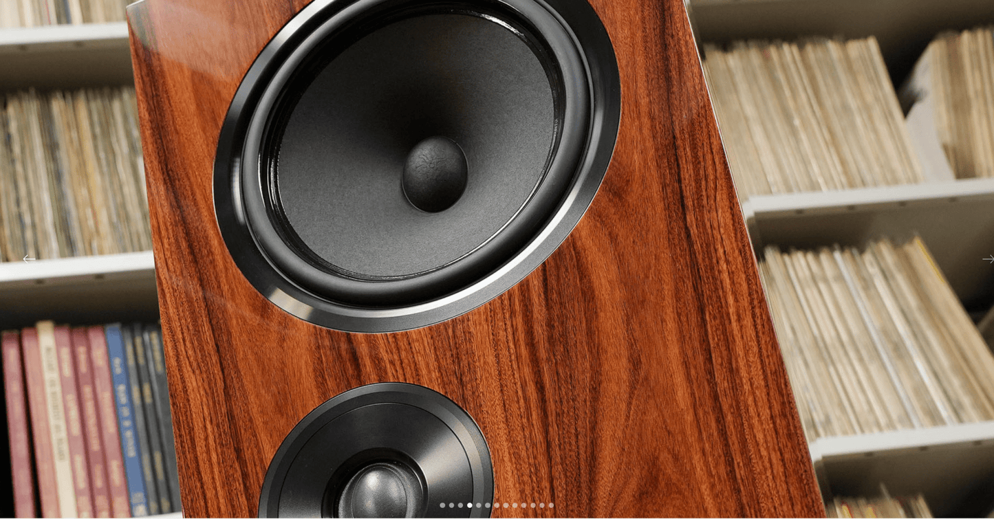 Living Voice OBX - R80 - Aktivstudio - High End Audio