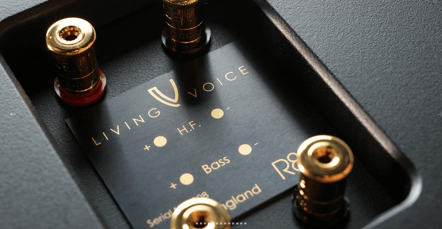 Living Voice OBX - R80 - Aktivstudio - High End Audio