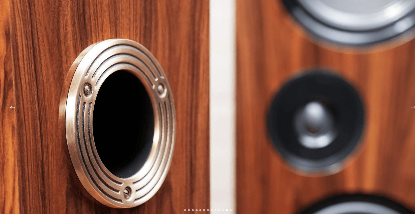 Living Voice OBX - R80 - Aktivstudio - High End Audio
