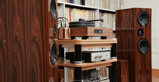 Living Voice OBX - R80 - Aktivstudio - High End Audio