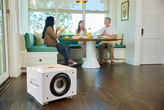 REL S/550 - Aktivstudio - High End Audio