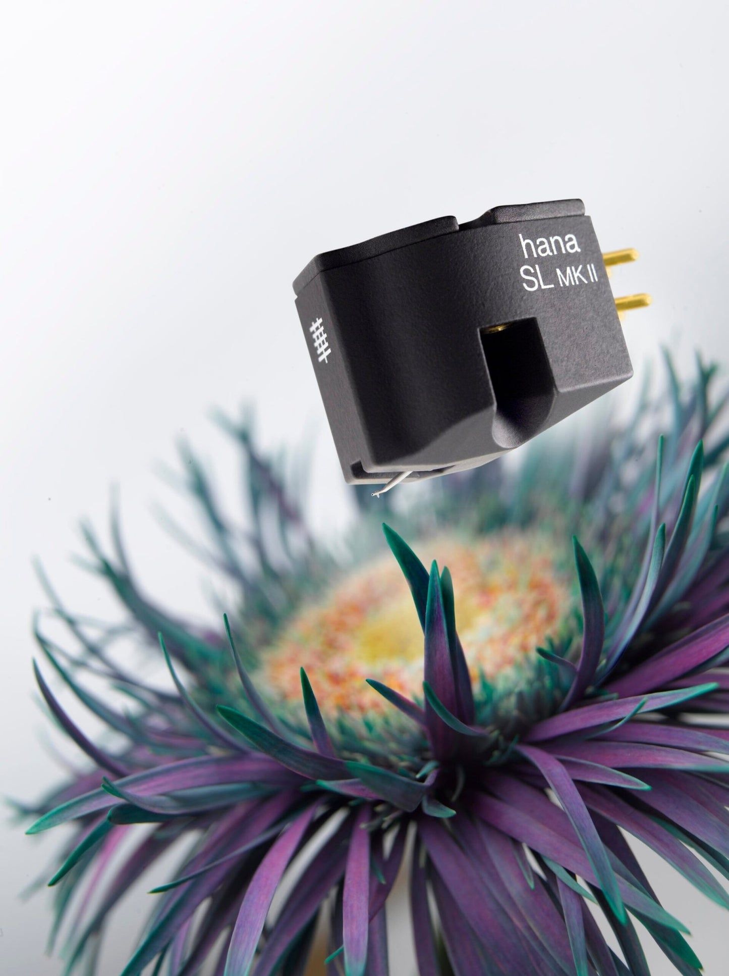 Hana SL Mono MkII - Aktivstudio - High End Audio
