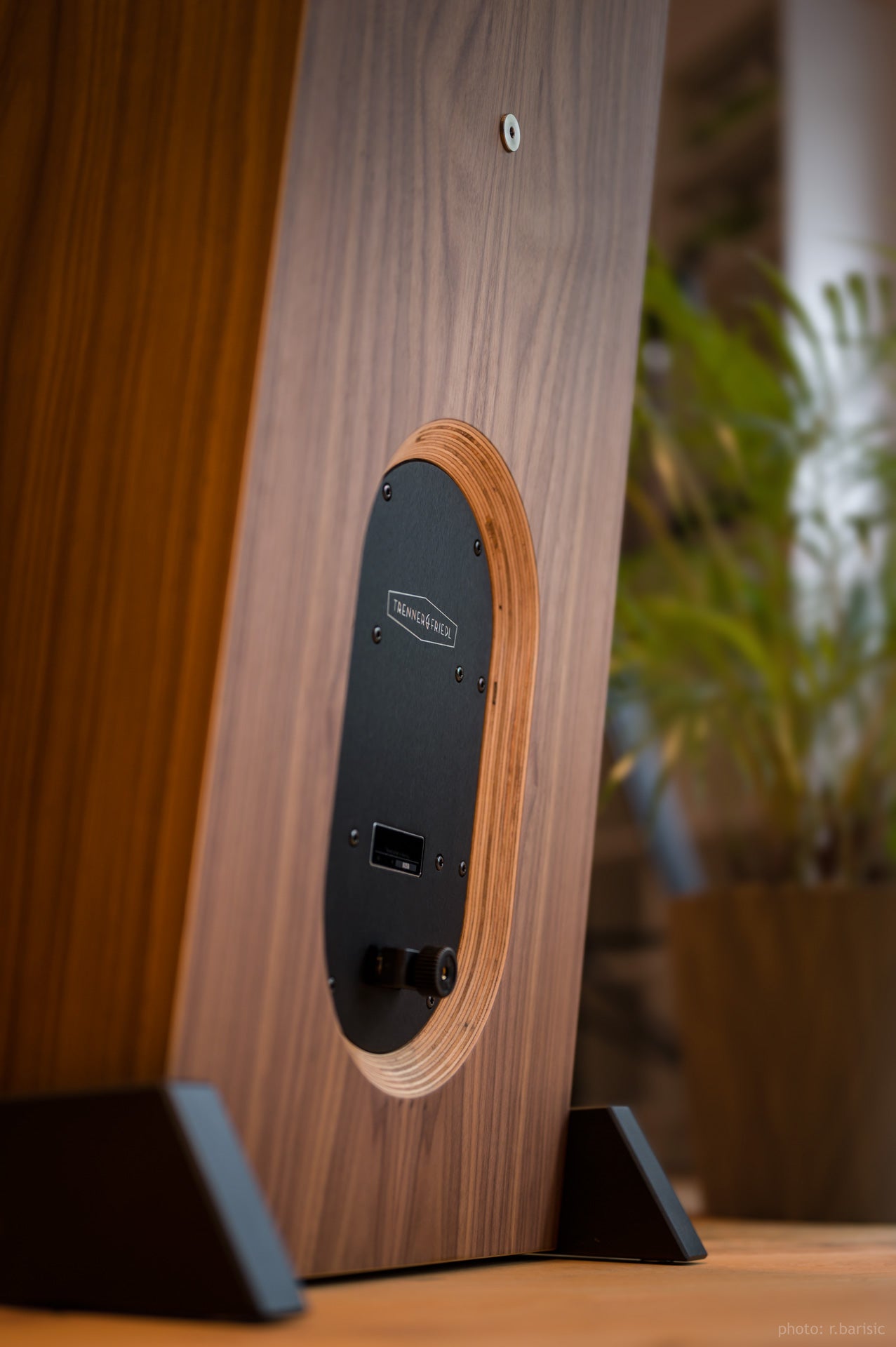 Trenner & Friedl Pharoah - Aktivstudio - High End Audio