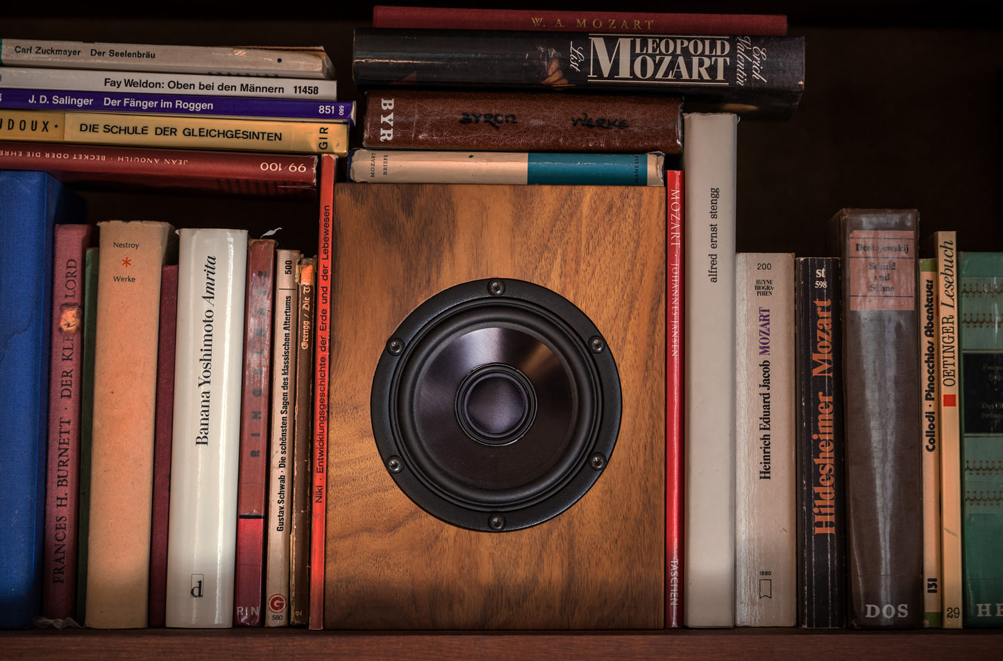 Trenner & Friedl SUN - Aktivstudio - High End Audio