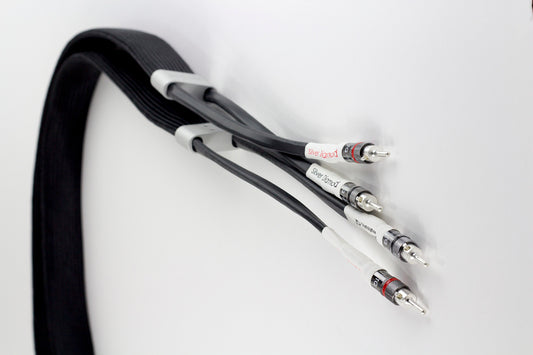 Tellurium Q Silver Diamond Speaker - Aktivstudio - High End Audio