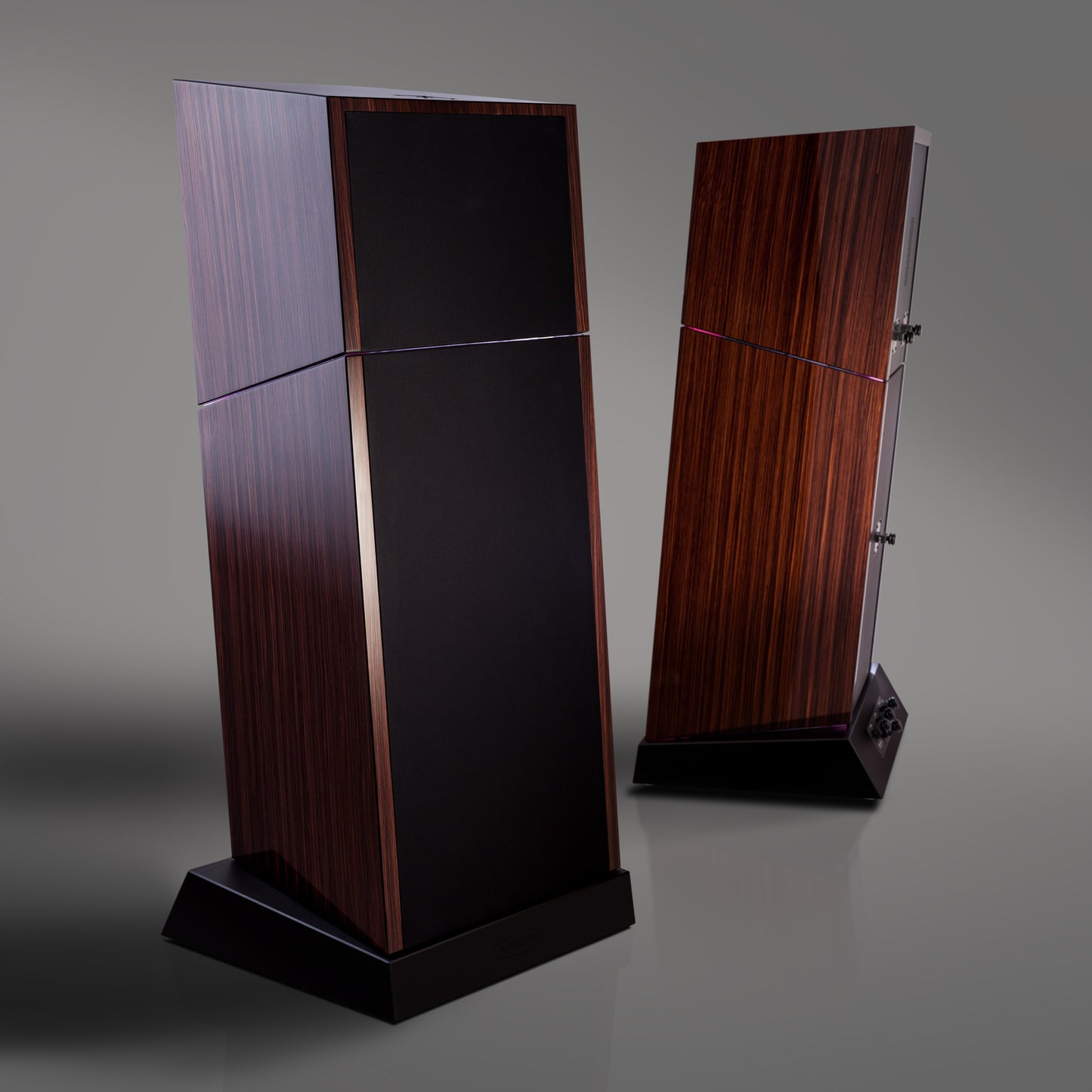 Trenner & Friedl Taliesin - Aktivstudio - High End Audio