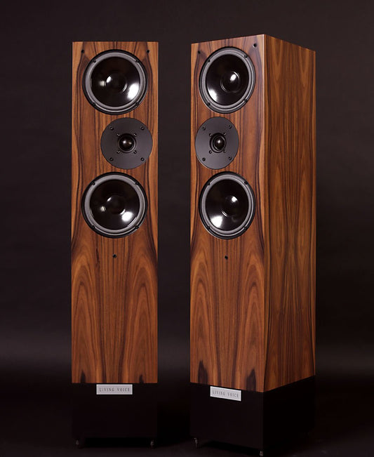 Living Voice Avatar R4 - Aktivstudio - High End Audio