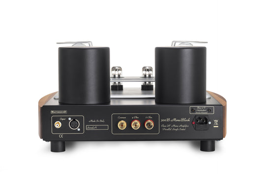 Mastersound Monoblock 300B