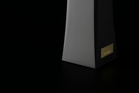 DS Audio ION - 001 Ionizer - Aktivstudio - High End Audio