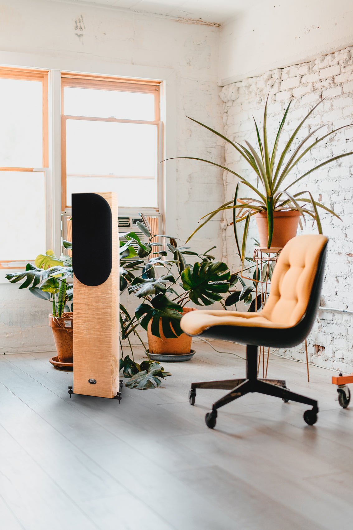 Apertura Edena Evolution - Aktivstudio - High End Audio
