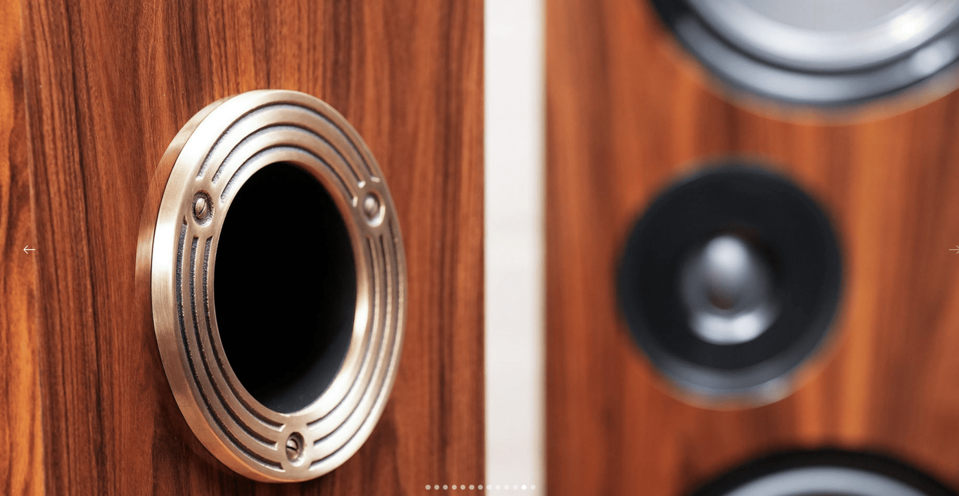 Living Voice OBX - R80 - Aktivstudio - High End Audio