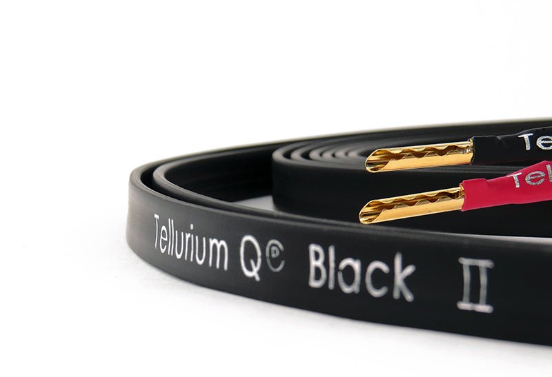 Tellurium Q Black II Speaker - Aktivstudio - High End Audio