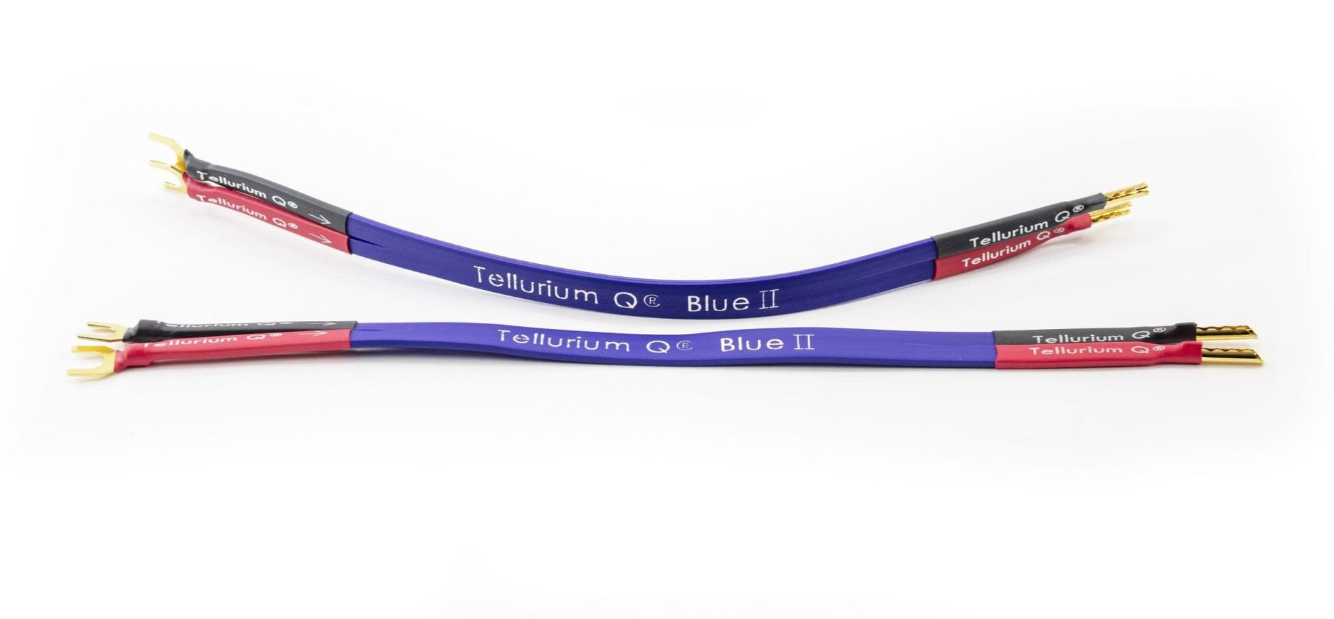 Tellurium Q Blue II Jumper - Aktivstudio - High End Audio