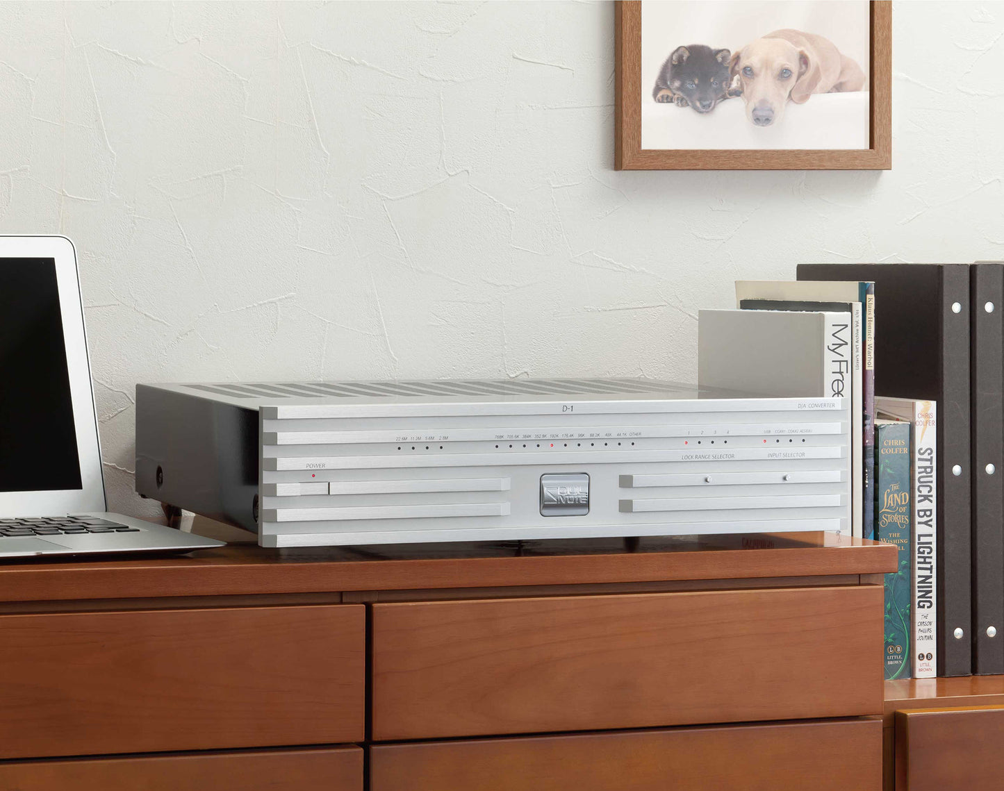 Soulnote D - 1N - Aktivstudio - High End Audio