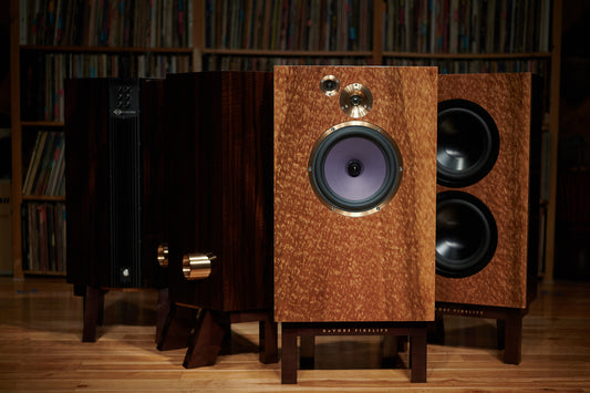 DeVORE Fidelity Orangutan Reference - Aktivstudio - High End Audio