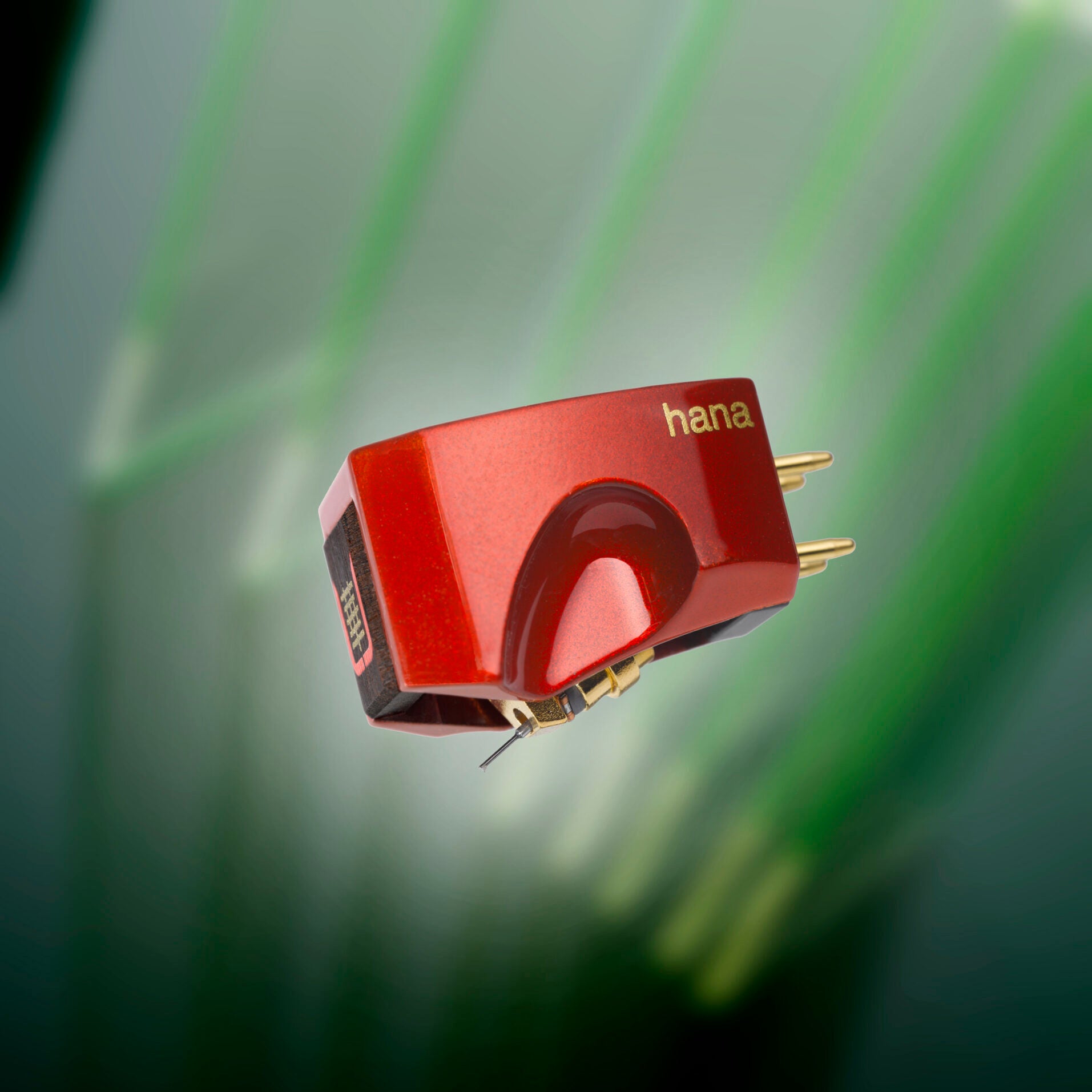 Hana Umami Red - Aktivstudio - High End Audio