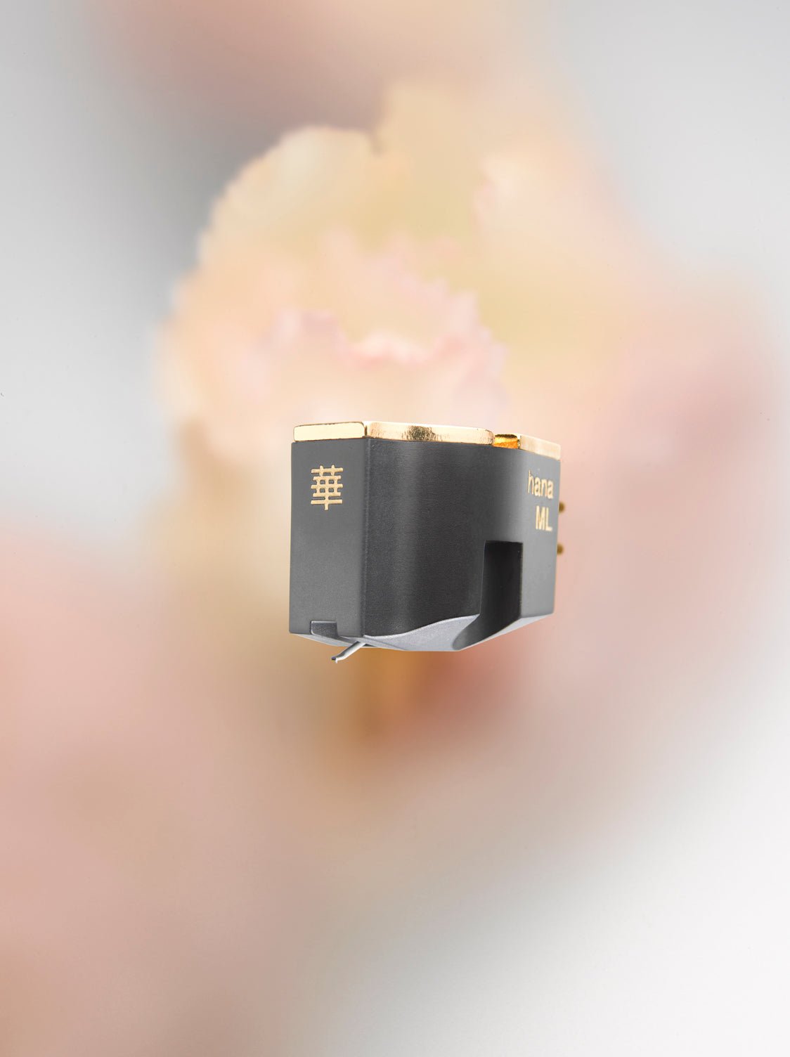 Hana ML - Aktivstudio - High End Audio