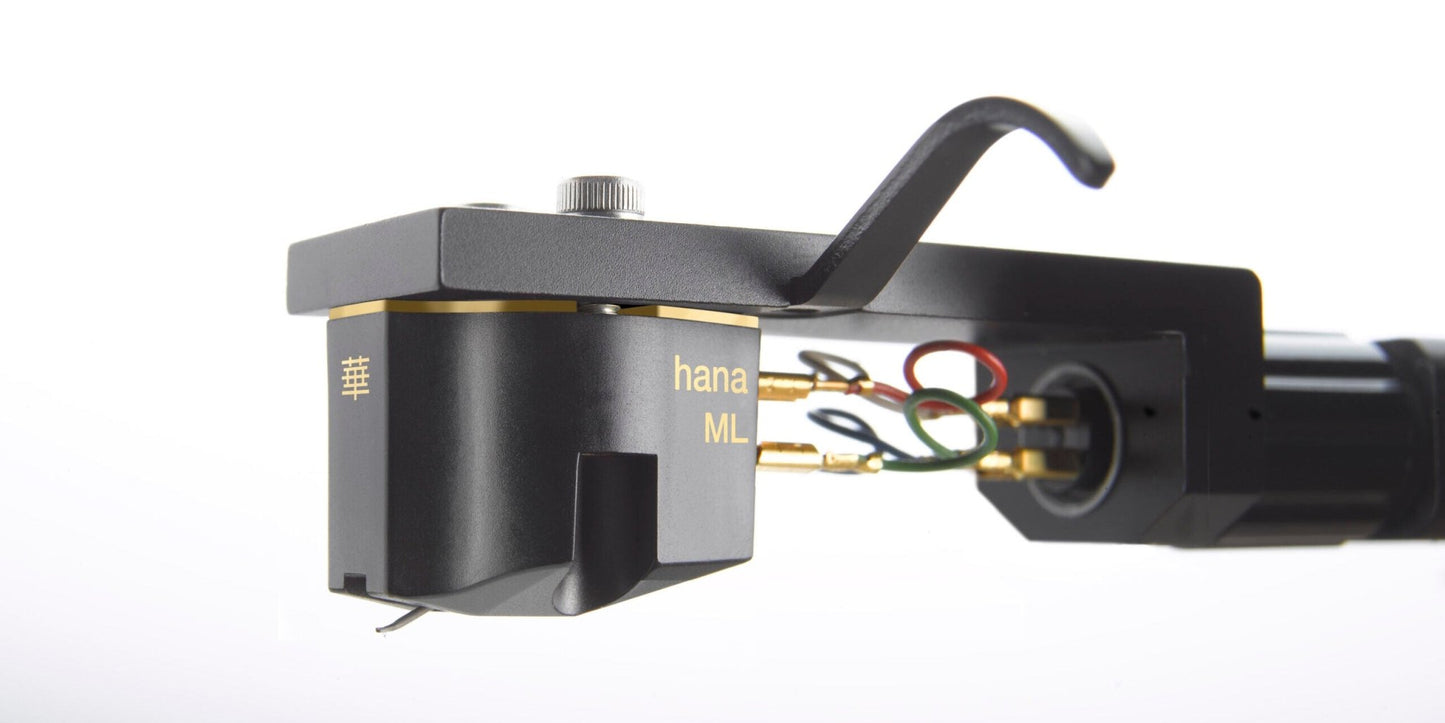 Hana ML - Aktivstudio - High End Audio
