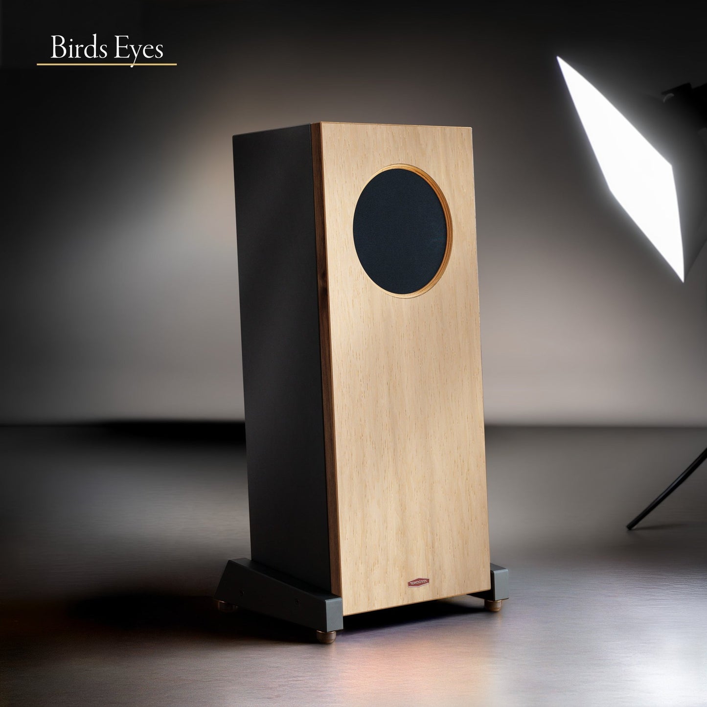 Trenner & Friedl Pharoah V3 - Aktivstudio - High End Audio