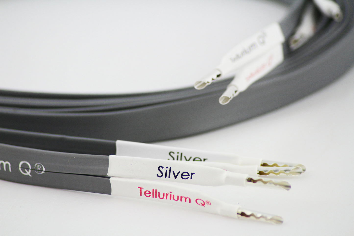 Tellurium Q Silver II Speaker - Aktivstudio - High End Audio