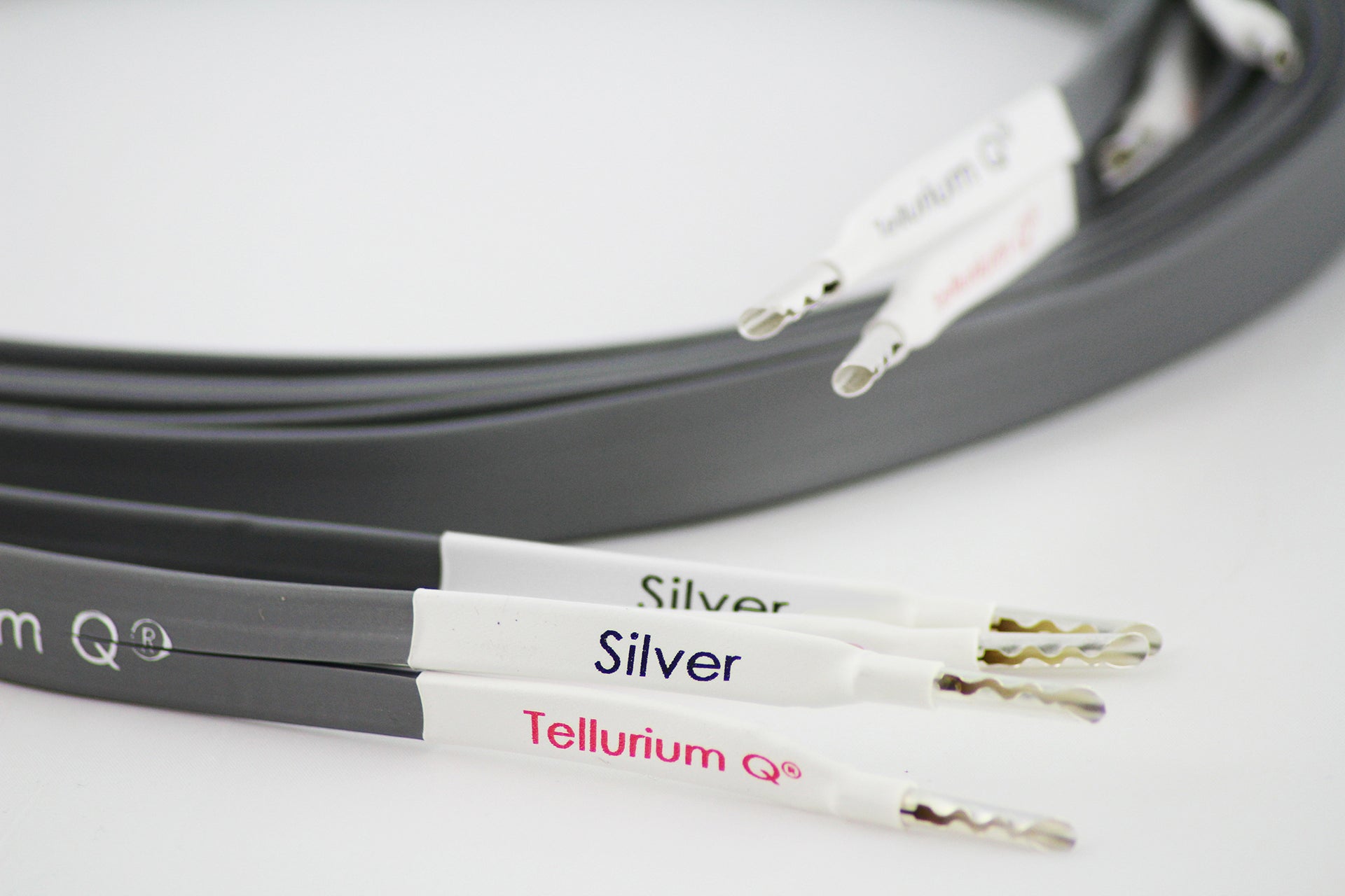 Tellurium Q Silver II Speaker - Aktivstudio - High End Audio