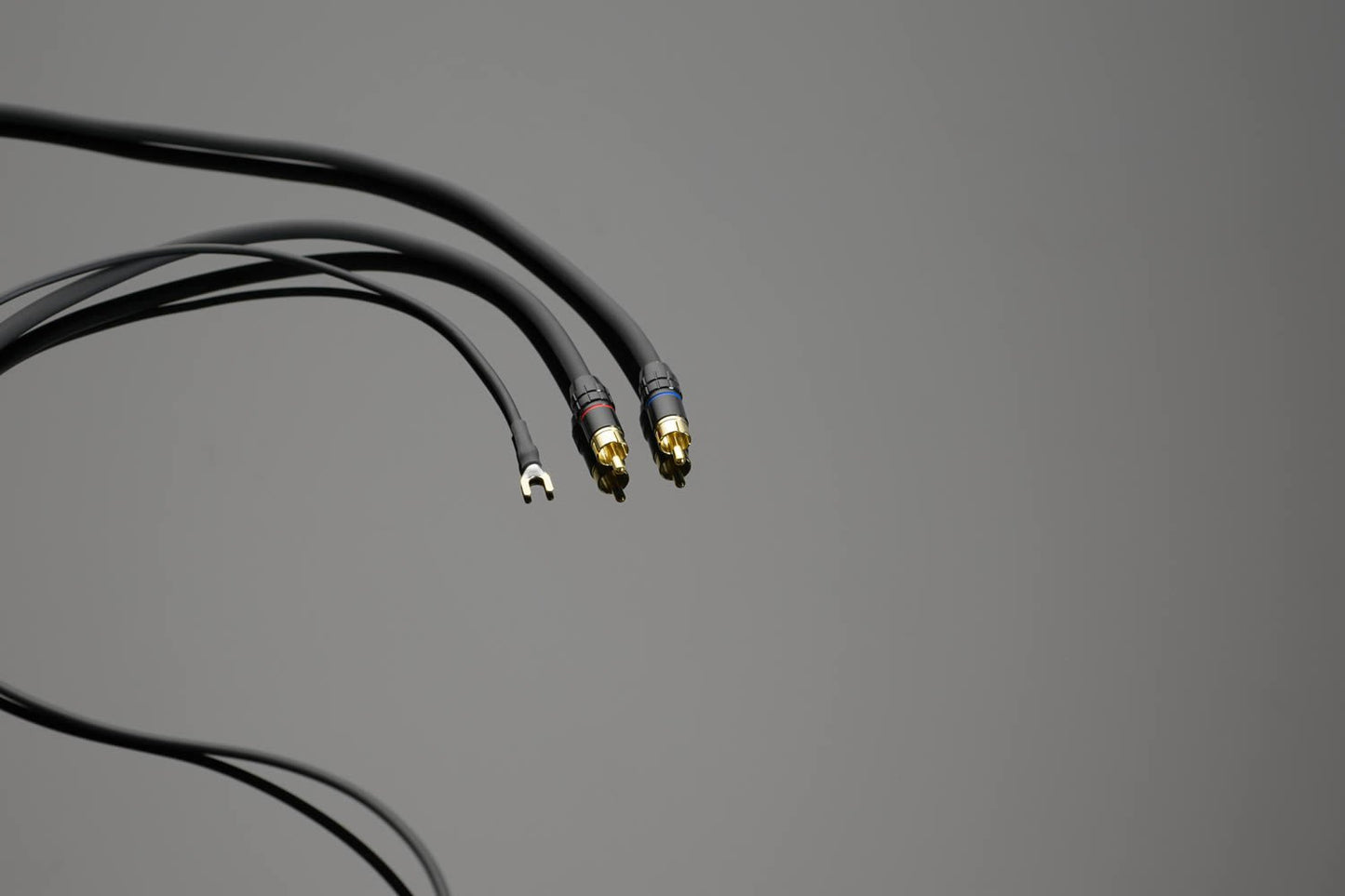 Transparent The Link Phono - Kabel - Aktivstudio - High End Audio