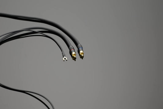 Transparent The Link Phono - Kabel - Aktivstudio - High End Audio