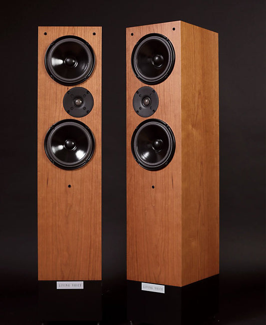 Living Voice R25A - Aktivstudio - High End Audio
