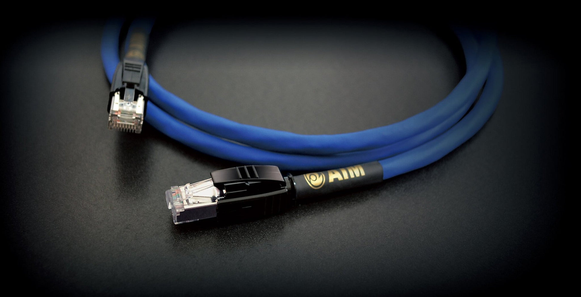 AIM NA2 - Aktivstudio - High End Audio