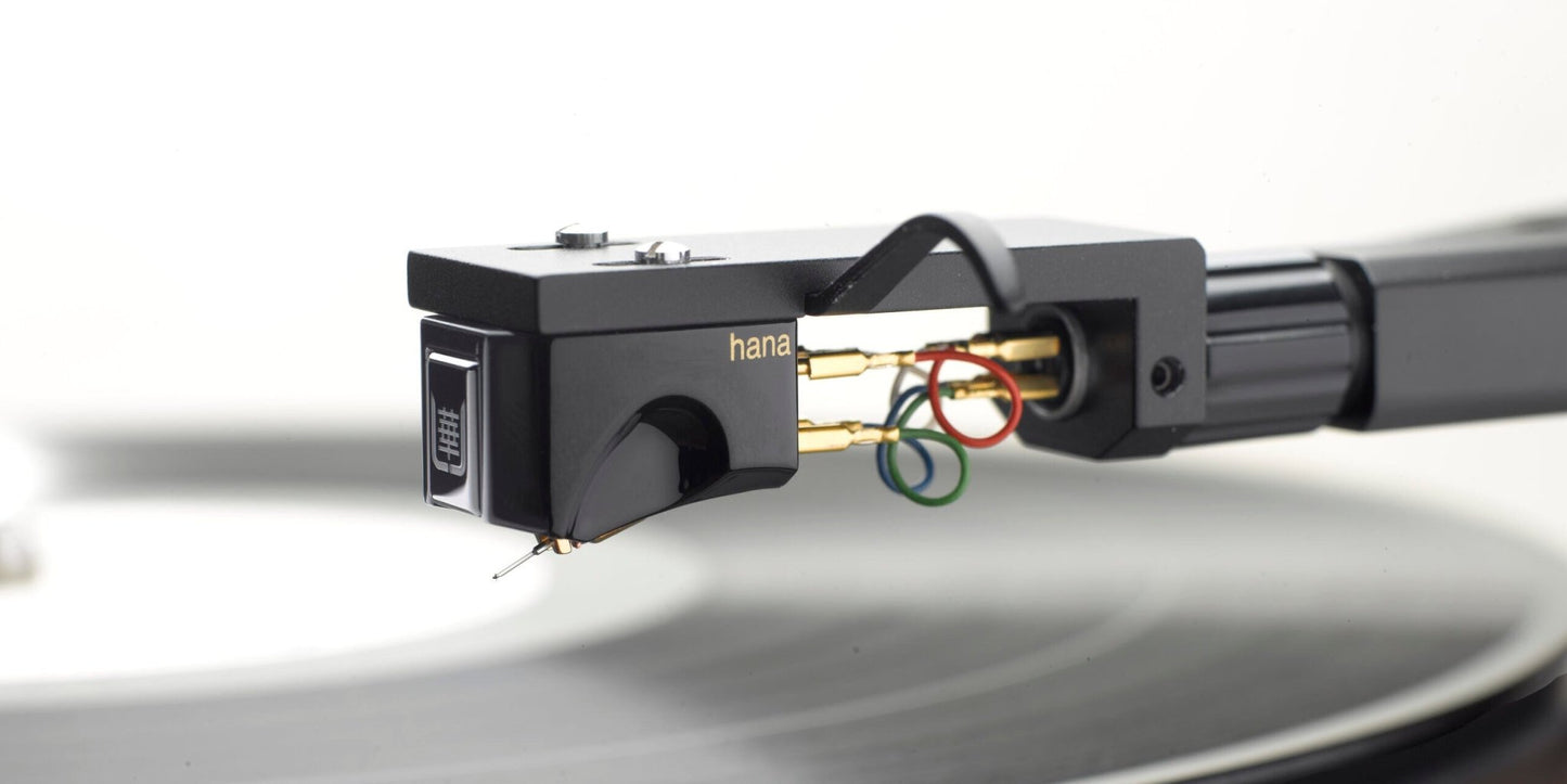 Hana Umami Black - Aktivstudio - High End Audio