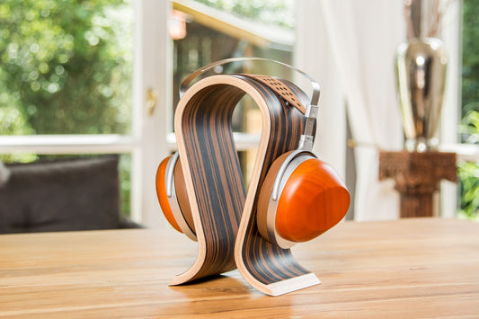 Hifiman HE - R10P - Aktivstudio - High End Audio