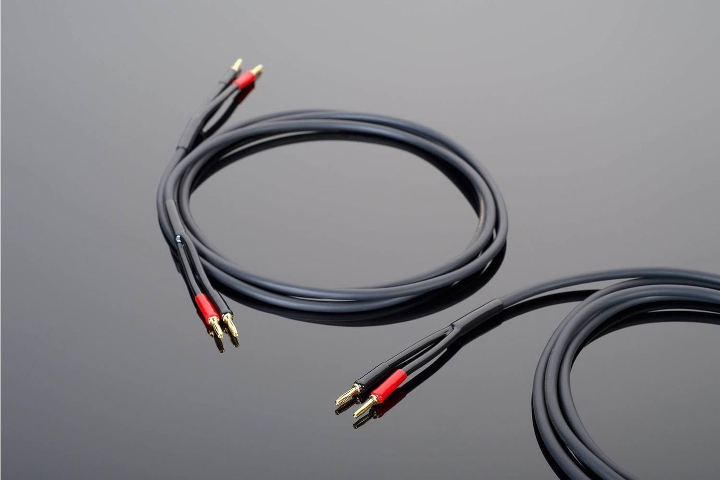 Transparent Hardwired Speaker Cable - Aktivstudio - High End Audio