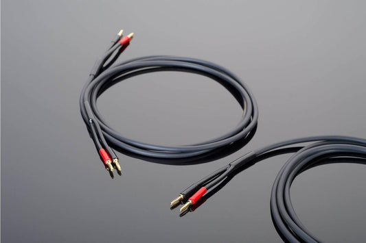 Transparent Hardwired Speaker Cable - Aktivstudio - High End Audio