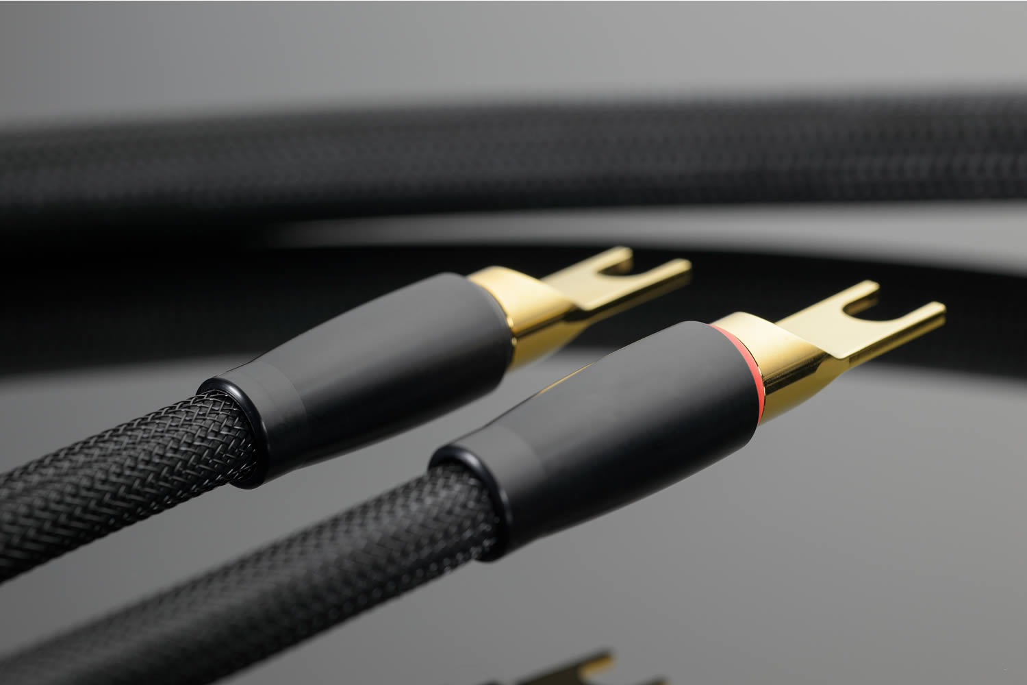 Transparent XL Speaker Cable - Aktivstudio - High End Audio