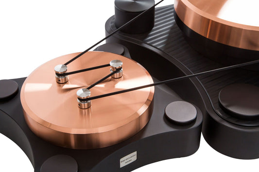 TW Acustic Raven Black Night - Aktivstudio - High End Audio